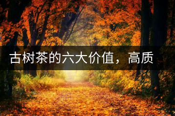 古樹茶的六大價值，高質(zhì)量的社交都離不開古樹茶
