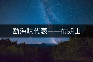 勐海味代表——布朗山