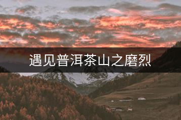 遇見普洱茶山之磨烈