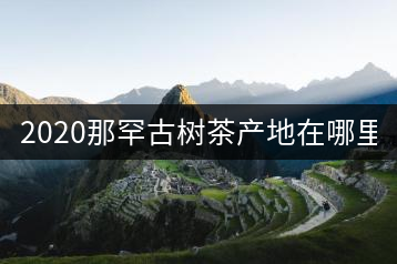 2020那罕古樹茶產(chǎn)地在哪里？