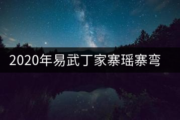 2020年易武丁家寨瑤寨彎弓古樹茶特點(diǎn)