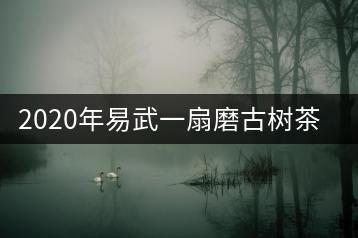 2020年易武一扇磨古樹茶性價(jià)比之王