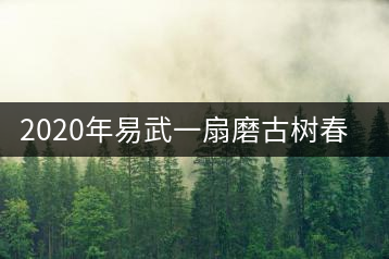 2020年易武一扇磨古樹春茶特征