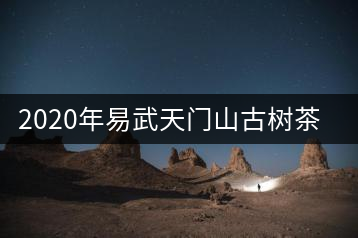 2020年易武天門山古樹茶口感