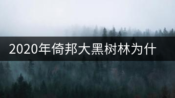 2020年倚邦大黑樹林為什么這么好喝