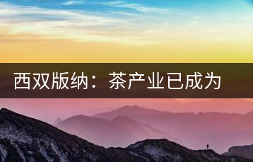 西雙版納：茶產(chǎn)業(yè)已成為茶區(qū)經(jīng)濟的重要支柱產(chǎn)業(yè)