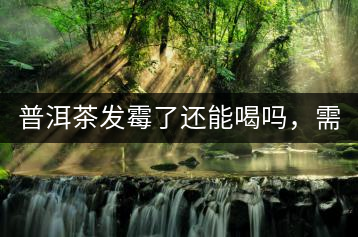 普洱茶發(fā)霉了還能喝嗎，需要怎么處理？