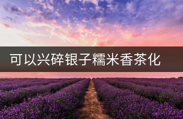 可以興碎銀子糯米香茶化石普洱茶熟茶特級(jí)易武古樹(shù)茶葉禮盒裝送禮