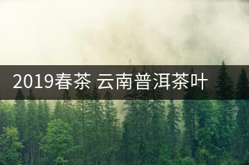 2019春茶 云南普洱茶葉普洱茶生茶 易武正山古樹純料生茶357g貢餅