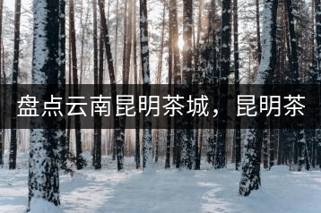 盤點云南昆明茶城，昆明茶葉市場哪個好？昆明茶葉市場有哪些？