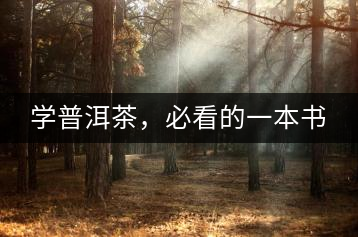 學(xué)普洱茶，必看的一本書
