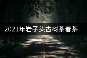 2021年巖子頭古樹(shù)茶春茶批發(fā)價(jià)格與口感