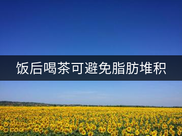 飯后喝茶可避免脂肪堆積