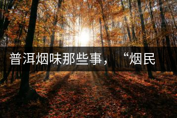 普洱煙味那些事，“煙民”不怕當(dāng)
