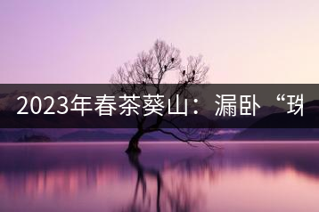 2023年春茶葵山：漏臥“珠江紅：1200元-3200元（有3個(gè)檔次）漏臥“大廠茶”：古樹單株8600-9000元／公斤，中樹4800-5200元／公斤，小樹混采2600-2800元／公斤。