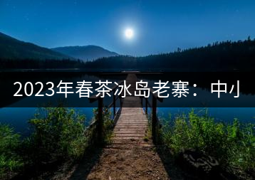 2023年春茶冰島老寨：中小樹混采2500-3000元／公斤，大樹：7000-8000元／公斤，古樹混采：28000-36000元／公斤
