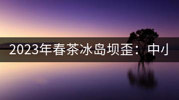 2023年春茶冰島壩歪：中小樹800元／公斤，古樹1400-1600元／公斤