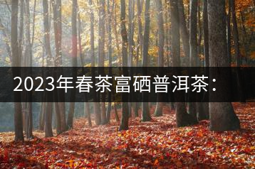 2023年春茶富硒普洱茶：1.富硒有機手工生普，市場指導價800元／公斤；2.富硒有機一級紅茶，市場指導價800元／公斤；3.富硒有機熟普餅，市場指導價1000元／公斤；4.富硒有機月光白茶，市場指導價800元／公斤。
