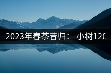 2023年春茶昔歸： 小樹1200-1600元／公斤，大樹4500-5200元／公斤，古樹7500-9000元／公斤.