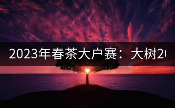 2023年春茶大戶(hù)賽：大樹(shù)200-300元／公斤，古樹(shù)800-1000元／公斤