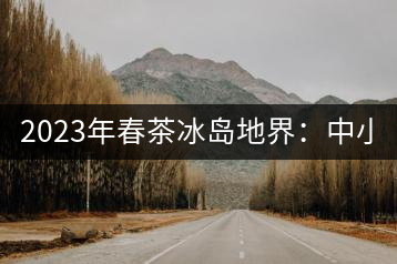 2023年春茶冰島地界：中小樹1300-1500元／公斤，古樹2200~2500元／公斤