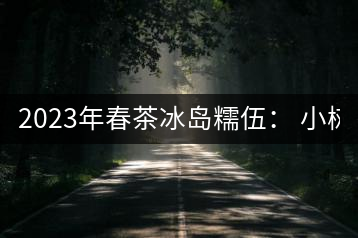 2023年春茶冰島糯伍： 小樹1300元／公斤，古樹：2100~2300元／公斤