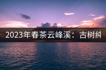 2023年春茶云峰溪：古樹純料：1200-1500元／公斤，古樹混采800-1000元／公斤，大樹500-800元／公斤，小樹300-500元／公斤