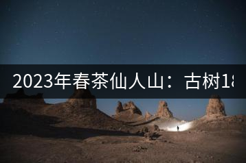 2023年春茶仙人山：古樹1800-2500元／公斤，老曼峨：小樹：600元／公斤 1600-1800元／公斤