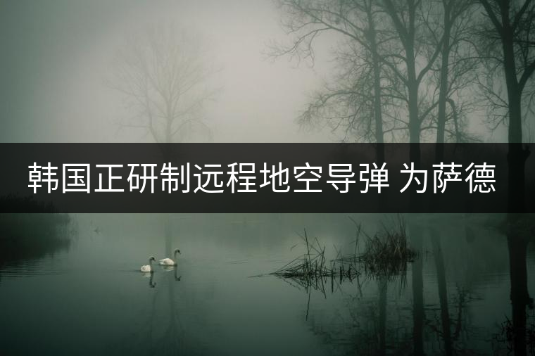 韓國正研制遠(yuǎn)程地空導(dǎo)彈 為薩德系統(tǒng)作補充