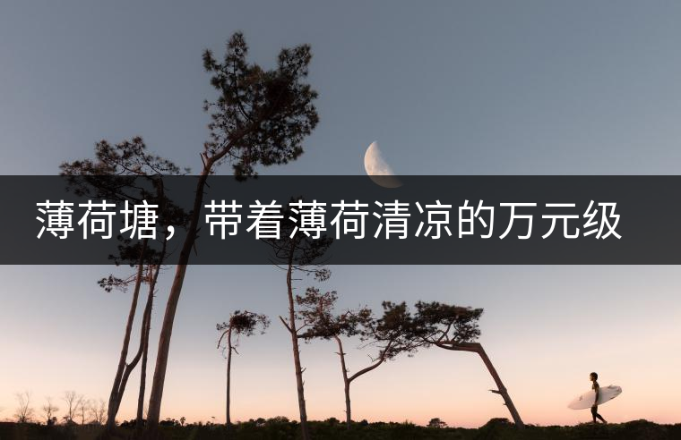 薄荷塘，帶著薄荷清涼的萬元級普洱