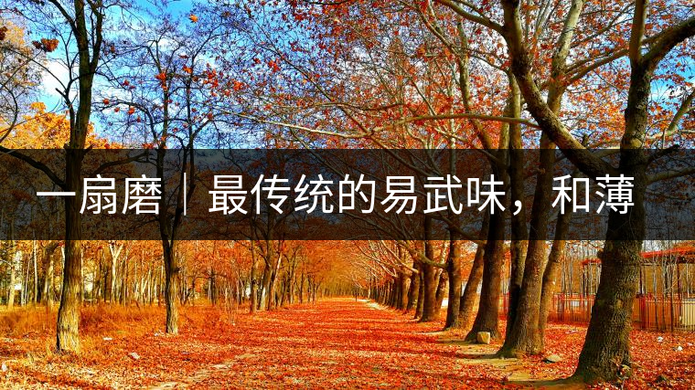 一扇磨｜最傳統(tǒng)的易武味，和薄荷塘一脈同宗，價(jià)格卻天差地別