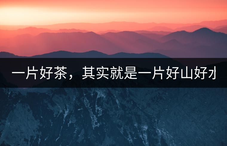 一片好茶，其實(shí)就是一片好山好水...一片好茶，其實(shí)就是一片好山好水...