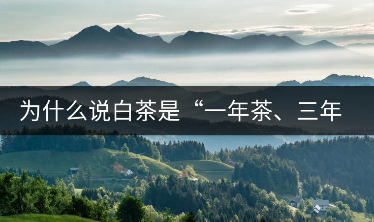 為什么說白茶是“一年茶、三年藥、七年寶”?為什么說白茶是“一年茶、三年藥、七年寶”？
