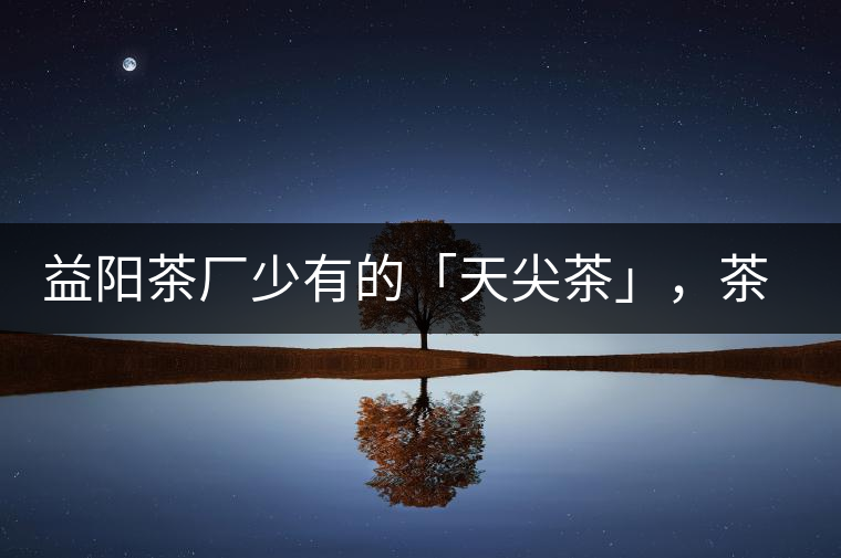 益陽茶廠少有的「天尖茶」，茶品升級，收藏趁早！