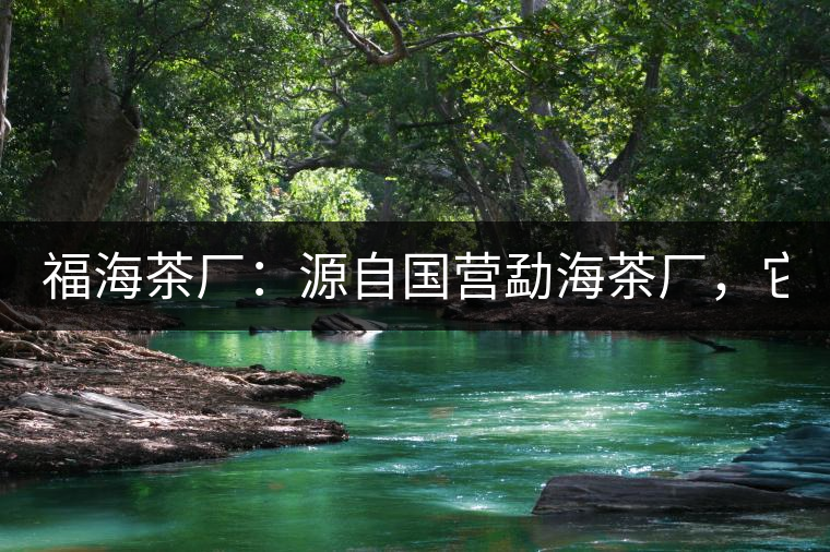 福海茶廠：源自國營勐海茶廠，它是99易武綠星星之母
