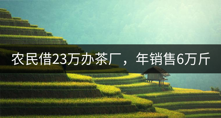 農(nóng)民借23萬辦茶廠，年銷售6萬斤，每天休息僅20分鐘!農(nóng)民借23萬辦茶廠，年銷售6萬斤，每天休息僅20分鐘！