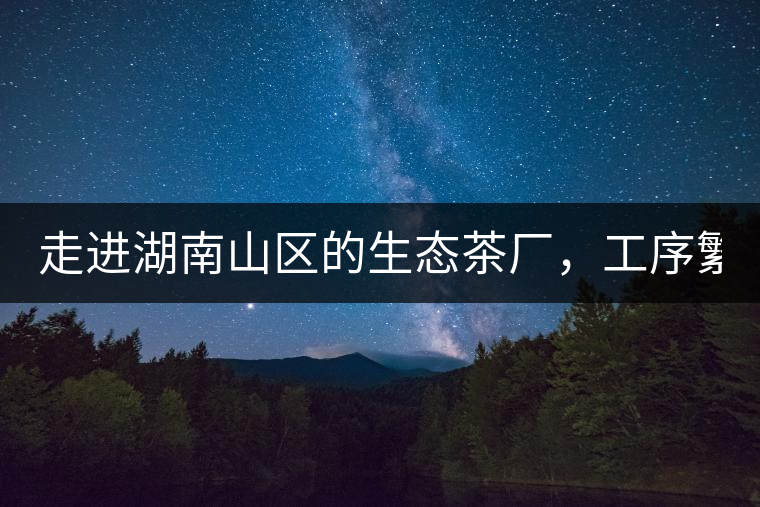 走進(jìn)湖南山區(qū)的生態(tài)茶廠，工序繁雜精細(xì)，538塊錢1斤真值走進(jìn)湖南山區(qū)的生態(tài)茶廠，工序繁雜精細(xì)，538塊錢1斤真值