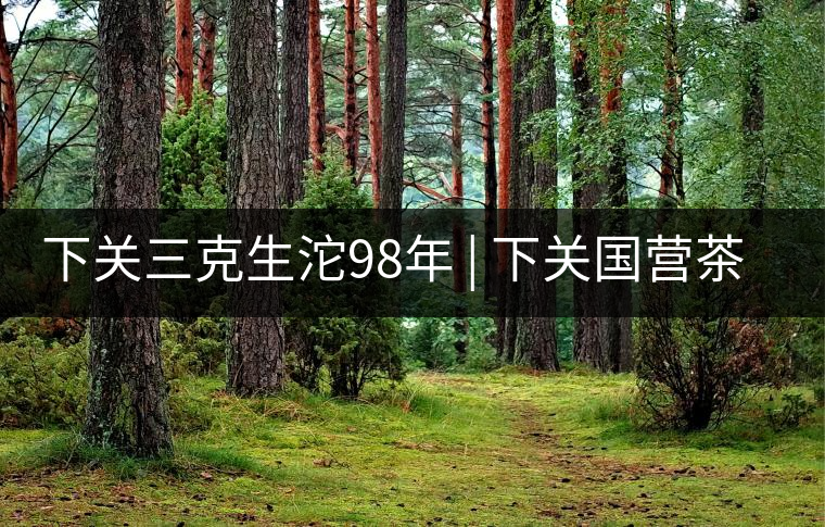 下關三克生沱98年 | 下關國營茶廠出口料，干倉儲存，...下關三克生沱98年 | 下關國營茶廠出口料，干倉儲存，19年老茶！