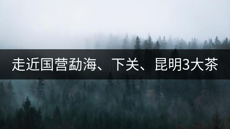 走近國營勐海、下關(guān)、昆明3大茶廠，傳世代表作的發(fā)展詳...走近國營勐海、下關(guān)、昆明3大茶廠，傳世代表作的發(fā)展詳解