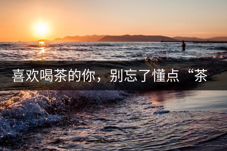 喜歡喝茶的你，別忘了懂點(diǎn)“茶歷史”喜歡喝茶的你，別忘了懂點(diǎn)“茶歷史”