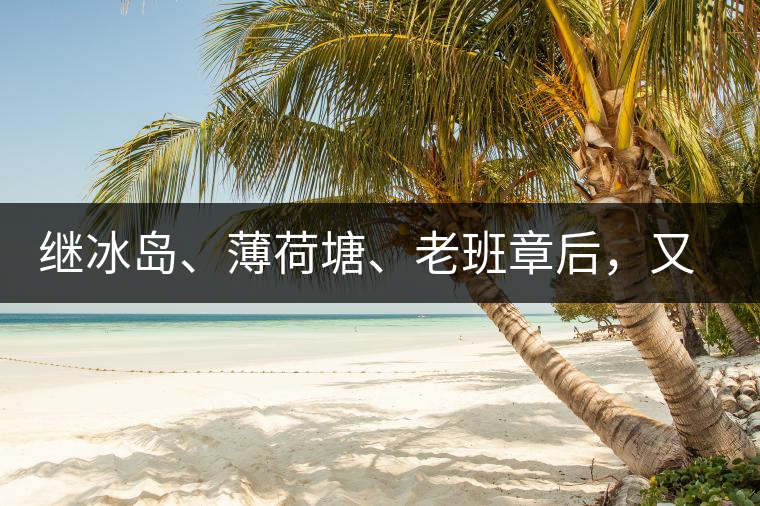 繼冰島、薄荷塘、老班章后，又一個被追捧的山頭茶火了！