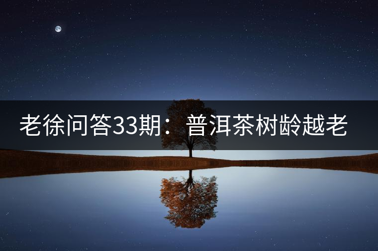老徐問(wèn)答33期：普洱茶樹齡越老越貴，那100年樹齡的老班章呢？