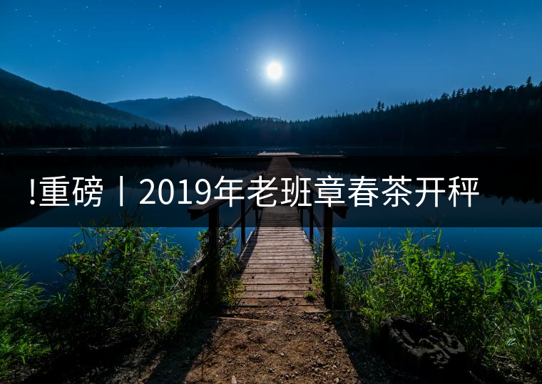 !重磅丨2019年老班章春茶開秤，一筆定價？如此出人意料！