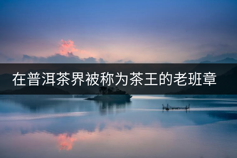 在普洱茶界被稱為茶王的老班章，為何有人愛有人恨？