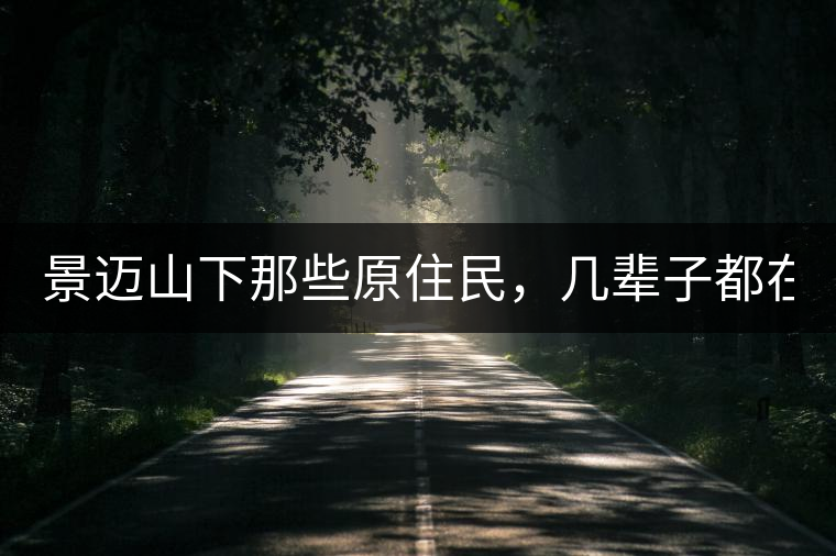 景邁山下那些原住民，幾輩子都在采茶、制茶，才有最...景邁山下那些原住民，幾輩子都在采茶、制茶，才有最好喝的普洱