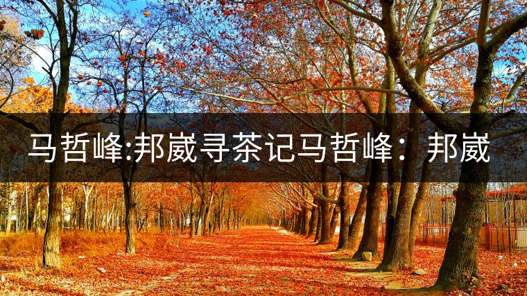 馬哲峰:邦崴尋茶記馬哲峰:邦崴尋茶記 馬哲峰:邦崴尋茶記馬哲峰:邦崴尋茶記
