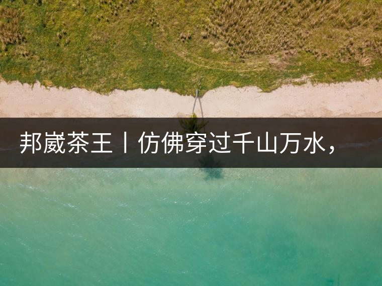 邦崴茶王丨仿佛穿過(guò)千山萬(wàn)水，就是為了它而來(lái)邦崴茶王丨仿佛穿過(guò)千山萬(wàn)水，就是為了它而來(lái)