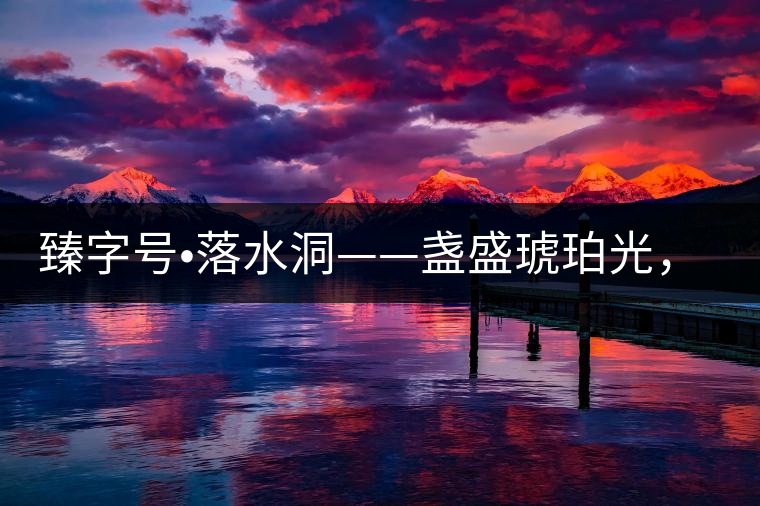 臻字號?落水洞——盞盛琥珀光，柔甜入人心
