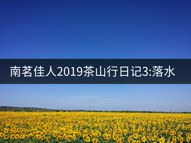 南茗佳人2019茶山行日記3:落水洞--200多年建村歷史，...南茗佳人2019茶山行日記3：落水洞——200多年建村歷史，靈動(dòng)清越
