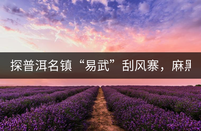 探普洱名鎮(zhèn)“易武”刮風(fēng)寨，麻黑，落水洞!小編親自下...探普洱名鎮(zhèn)“易武”刮風(fēng)寨，麻黑，落水洞！小編親自下手“殺青”